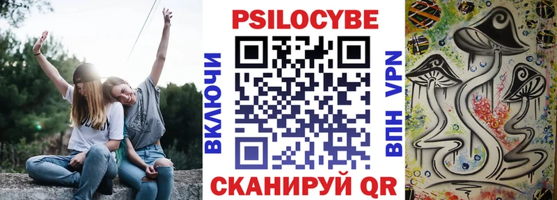 Галлюциногенные грибы Cubensis  darknet формула  Елизаветинская 